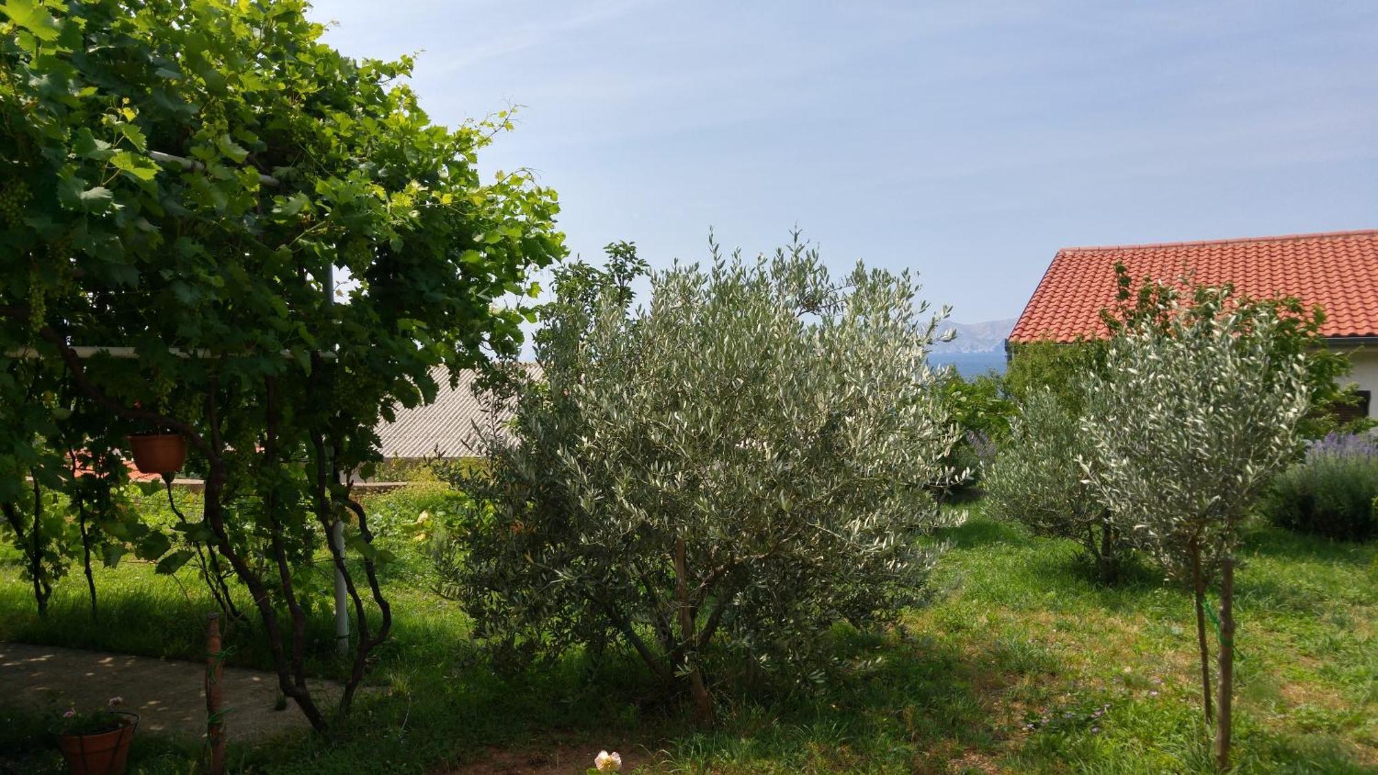 Apartments Antonio Senj  Exterior foto